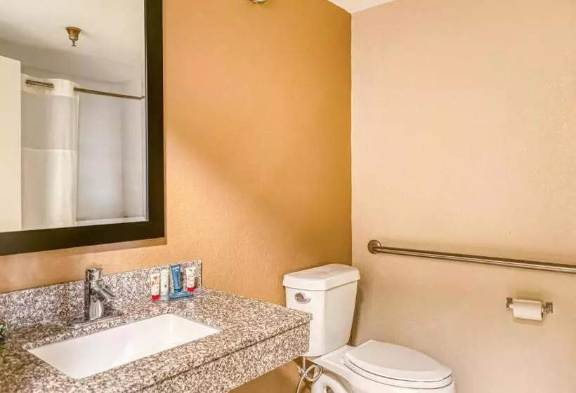 اتاق استاندارد با تخت بزرگ برای معلولان, Trident Inn & Suites New Orleans
