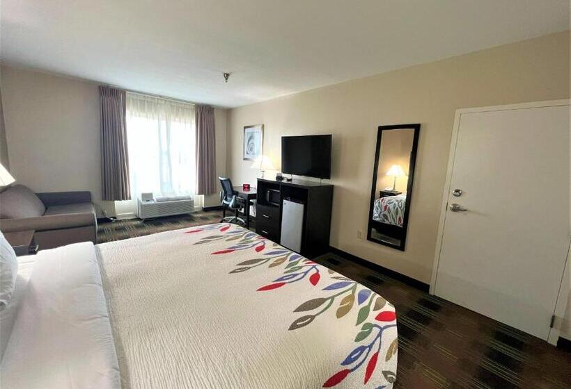 适合残疾人士使用的带超级大床的标准间, Trident Inn & Suites New Orleans