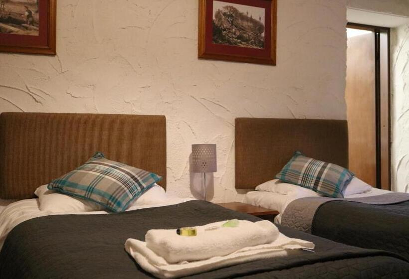 Номер Стандарт, Black Dog Inn