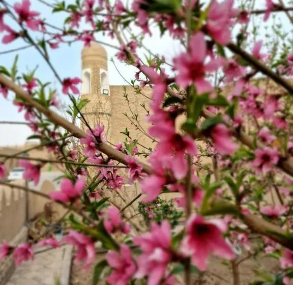 اتاق استاندارد با چشم‌انداز باغ, Guest House Khiva Boyjon Ota