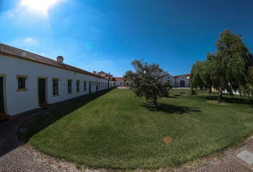 高级大房间, Casas Do Monte