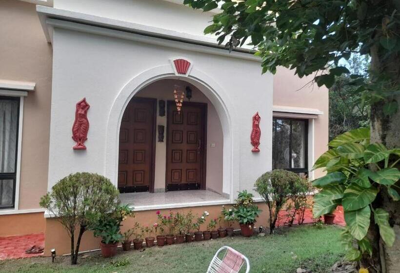 スイート, Gardenia 29