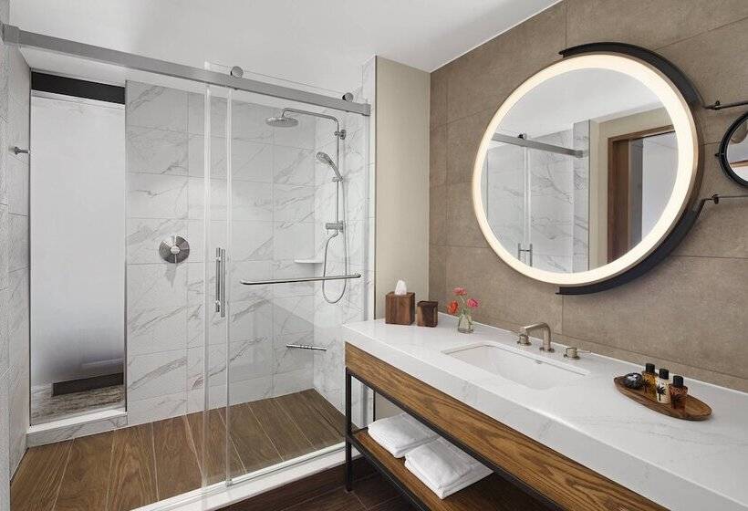 غرفه قياسيه سريرين مزدوجين, The Ben, Autograph Collection