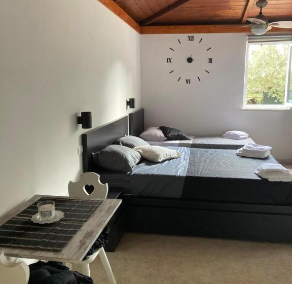 标准间, L’ulivo