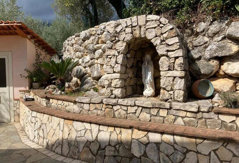 スタンダードルーム, L’ulivo