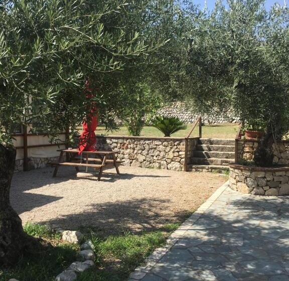 标准间, L’ulivo