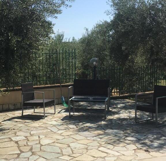 标准工作室, L’ulivo