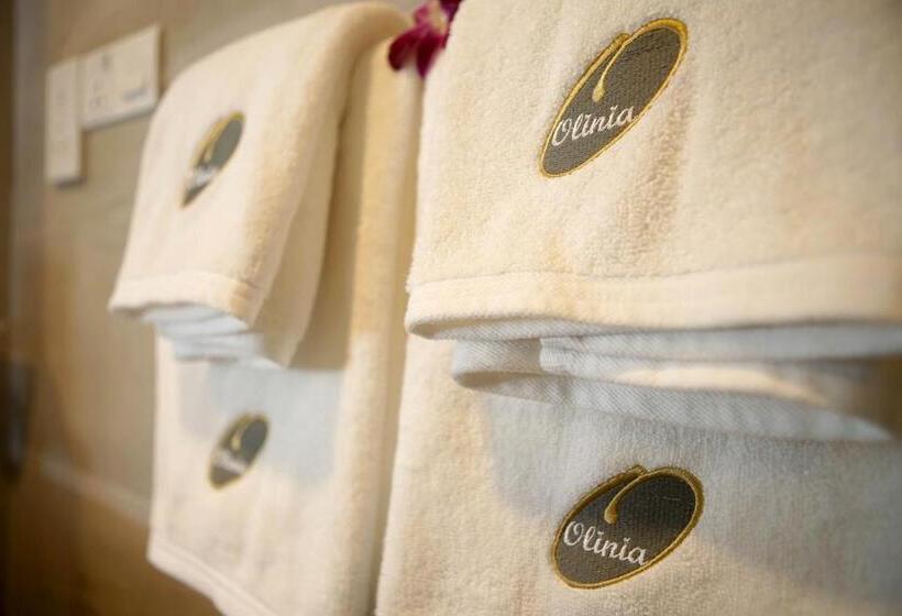 デラックストリプルルーム, Olinia Airport