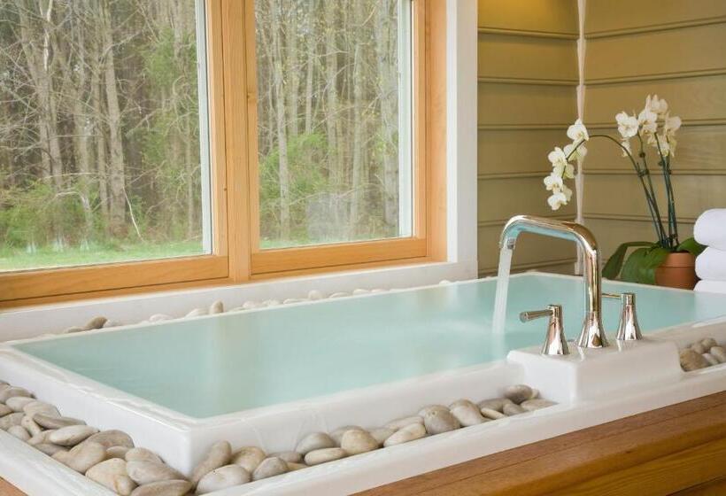 منزل غرفة نوم واحدة, Brampton 1860