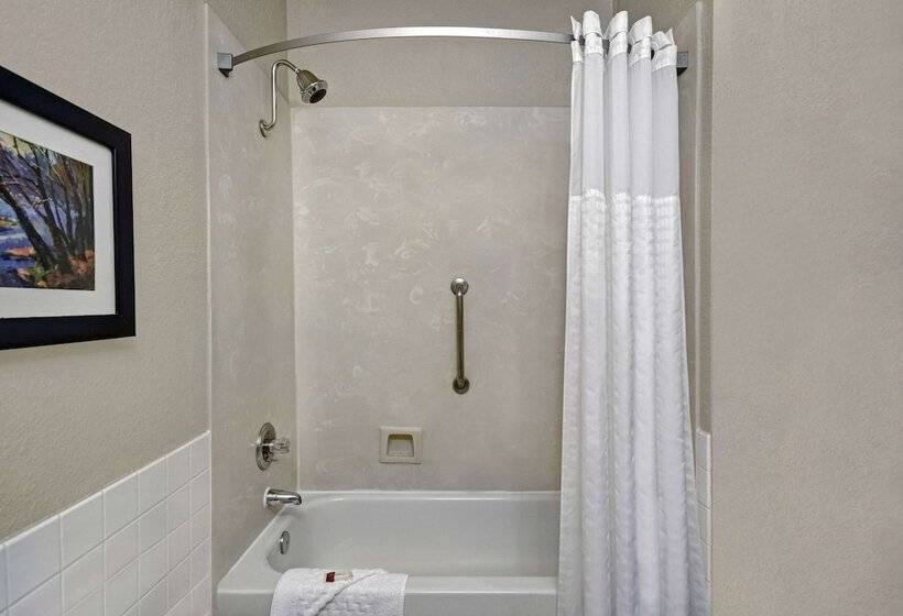 带大床的套房, Baymont By Wyndham Houston/westchase