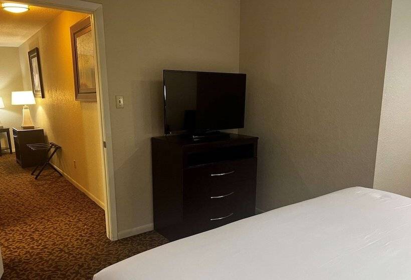 带大床的套房, Baymont By Wyndham Houston/westchase