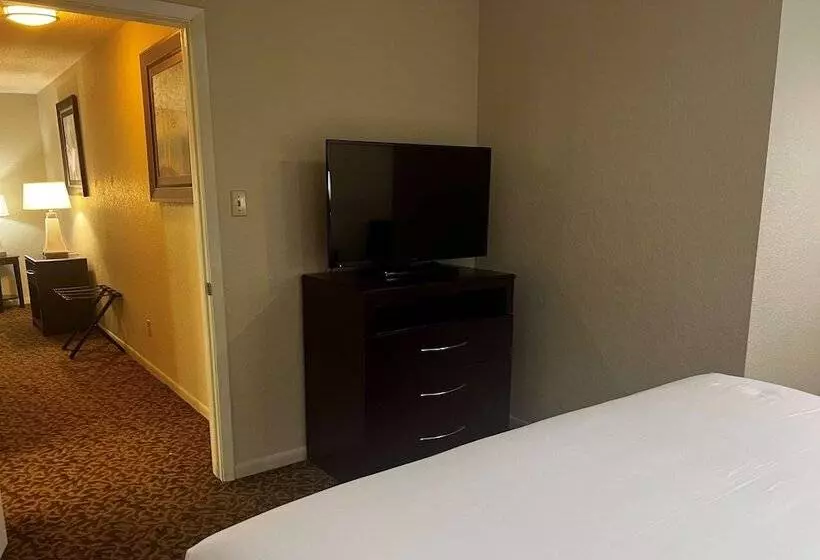 سوئیت با تخت بزرگ, Baymont By Wyndham Houston/westchase