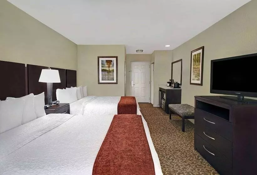 سوئیت با تخت بزرگ, Baymont By Wyndham Houston/westchase