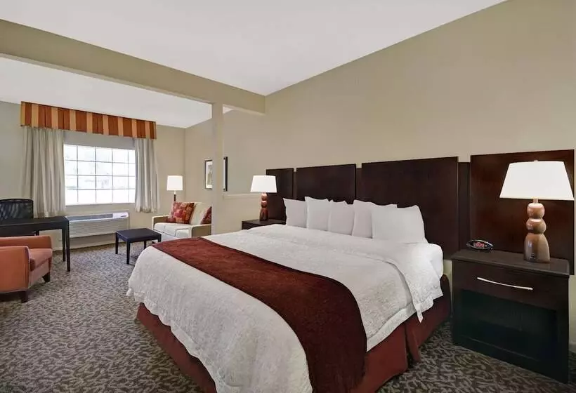 سوئیت با تخت بزرگ, Baymont By Wyndham Houston/westchase
