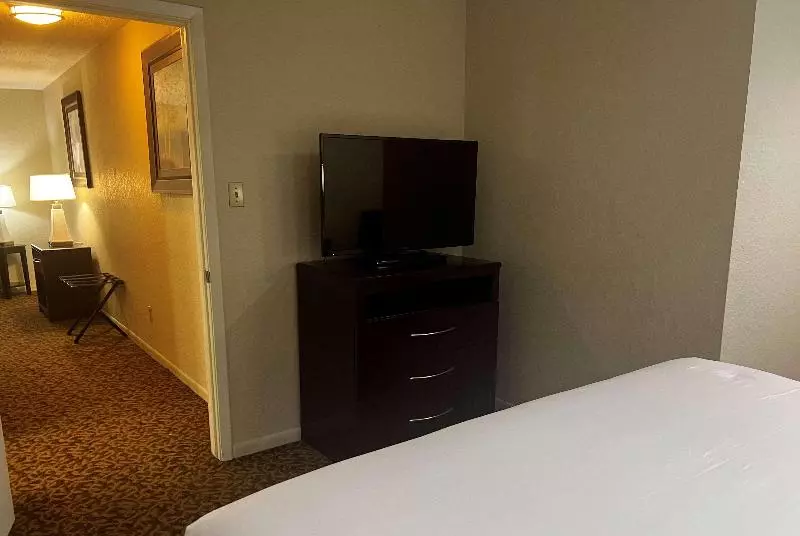 اتاق استاندارد با تخت بزرگ, Baymont By Wyndham Houston/westchase