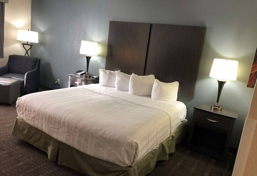 غرفة قياسية سرير مزدوج, Baymont By Wyndham Chester Il