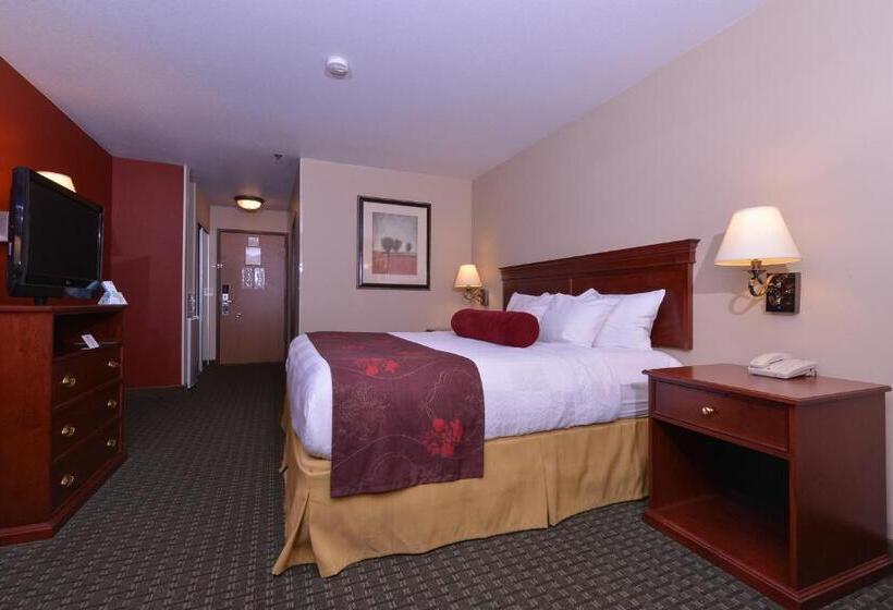스탠다드 룸 킹사이즈 침대, Best Western Plus Rama Inn