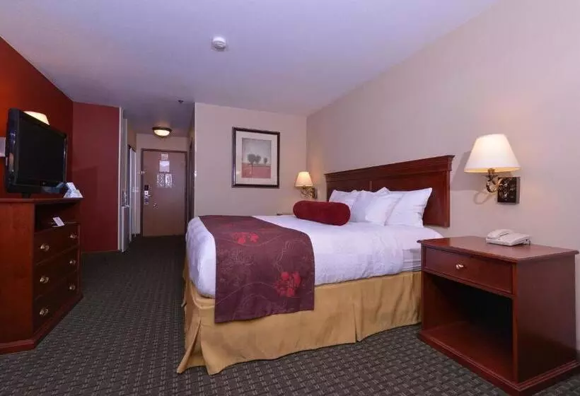 اتاق استاندارد با تخت بزرگ, Best Western Plus Rama Inn