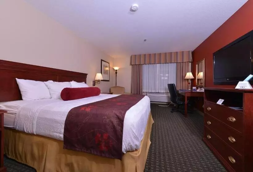 اتاق استاندارد با تخت بزرگ, Best Western Plus Rama Inn
