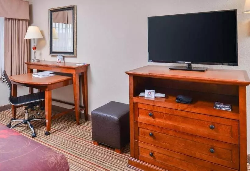 اتاق استاندارد با تخت بزرگ, Best Western Plus Rama Inn
