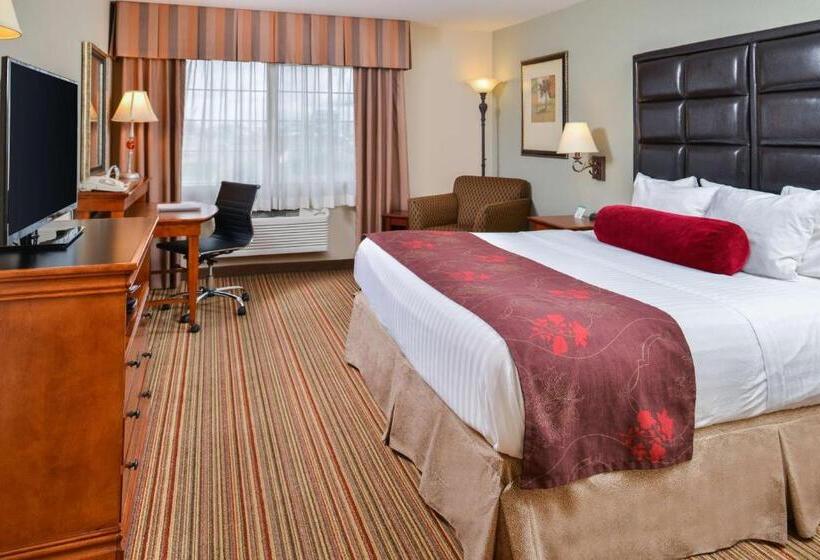 스탠다드 룸 킹사이즈 침대, Best Western Plus Rama Inn