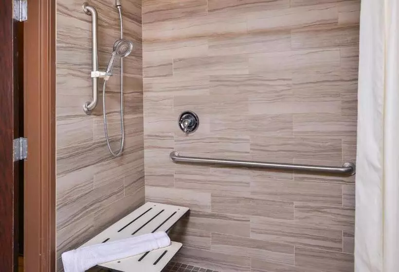 اتاق استاندارد برای معلولان, Best Western Plus Rama Inn