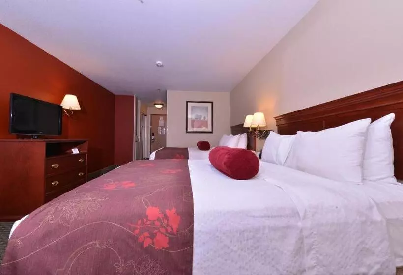 اتاق استاندارد, Best Western Plus Rama Inn