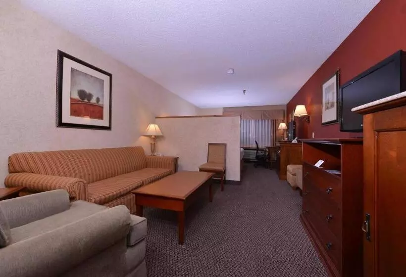 اتاق لوکس با تخت بزرگ, Best Western Plus Rama Inn
