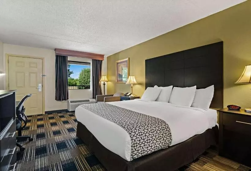 اتاق استاندارد با تخت بزرگ, Best Western Windsor Suites