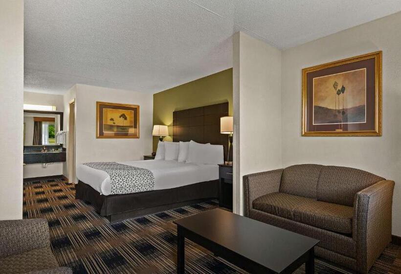 غرفة قياسية سرير كينج, Best Western Windsor Suites