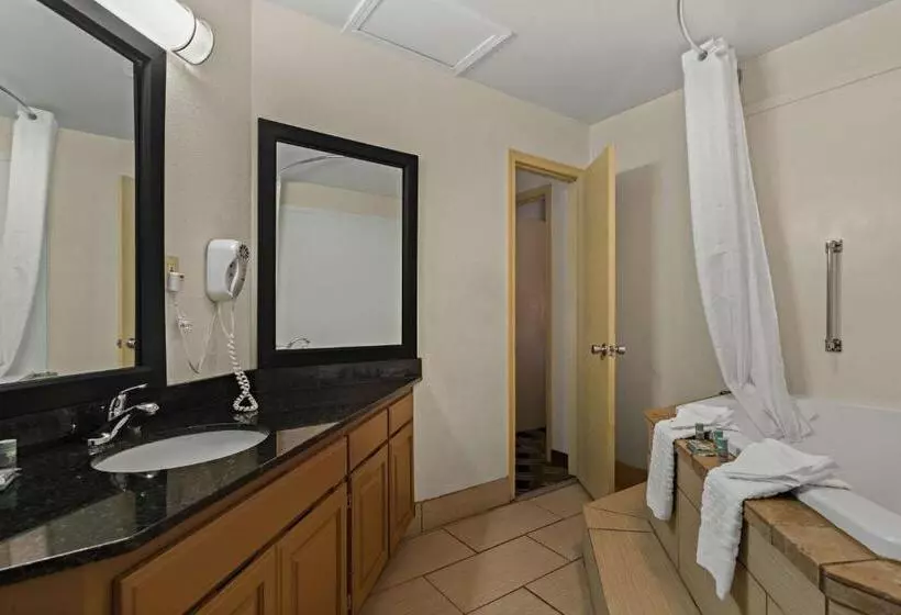 سوئیت با تخت بزرگ, Best Western Windsor Suites
