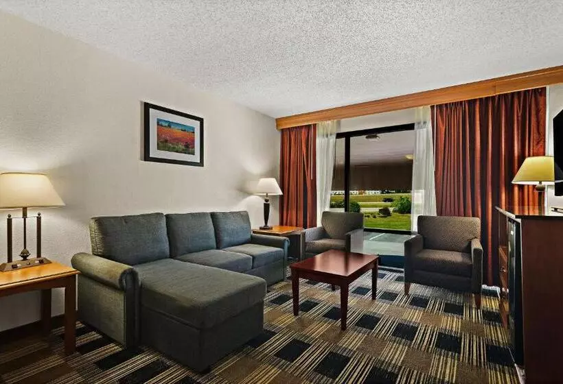 سوئیت با تخت بزرگ, Best Western Windsor Suites