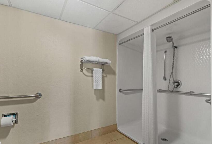 Номер Стандарт Кровать Кинг Адаптированный для Инвалидов, Best Western Windsor Suites
