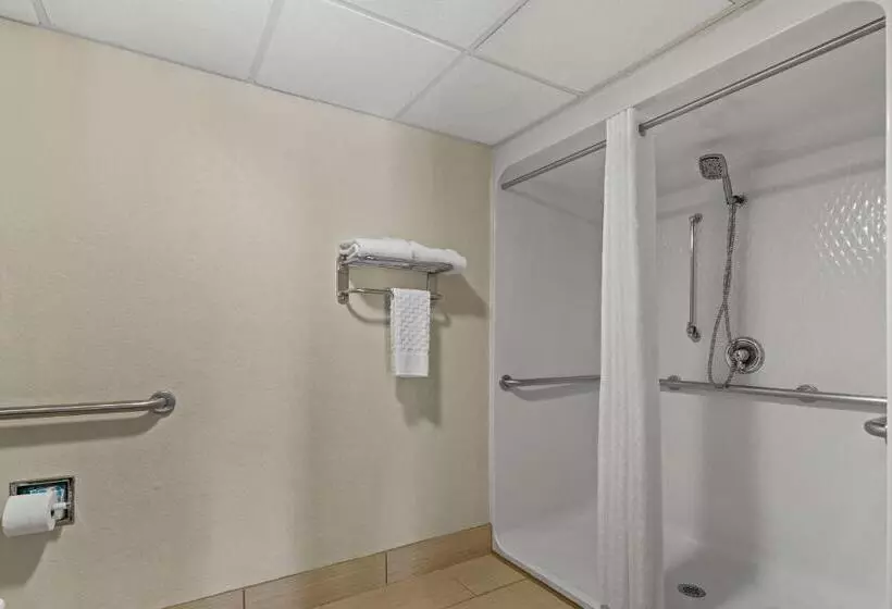 اتاق استاندارد با تخت بزرگ برای معلولان, Best Western Windsor Suites
