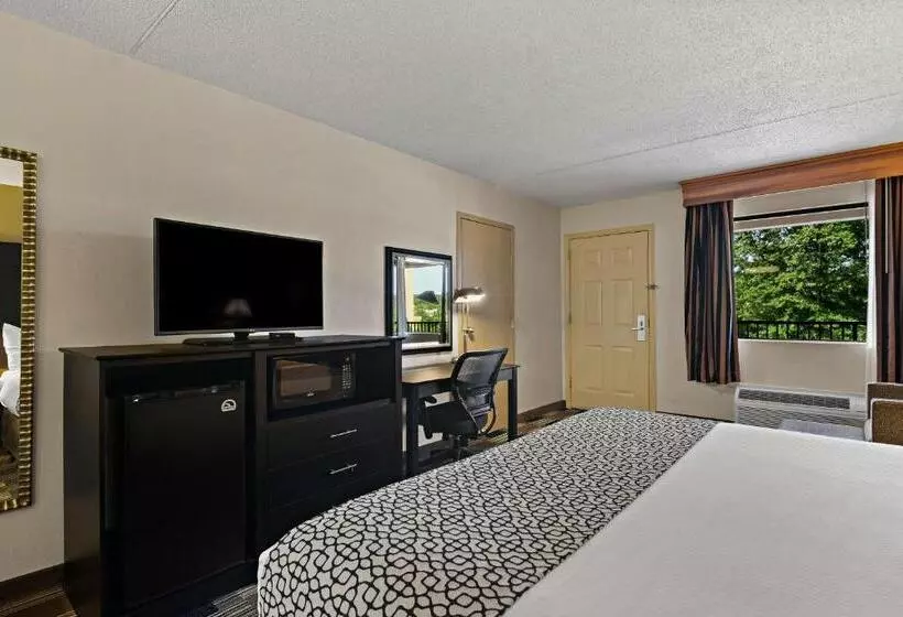 اتاق استاندارد با تخت بزرگ برای معلولان, Best Western Windsor Suites