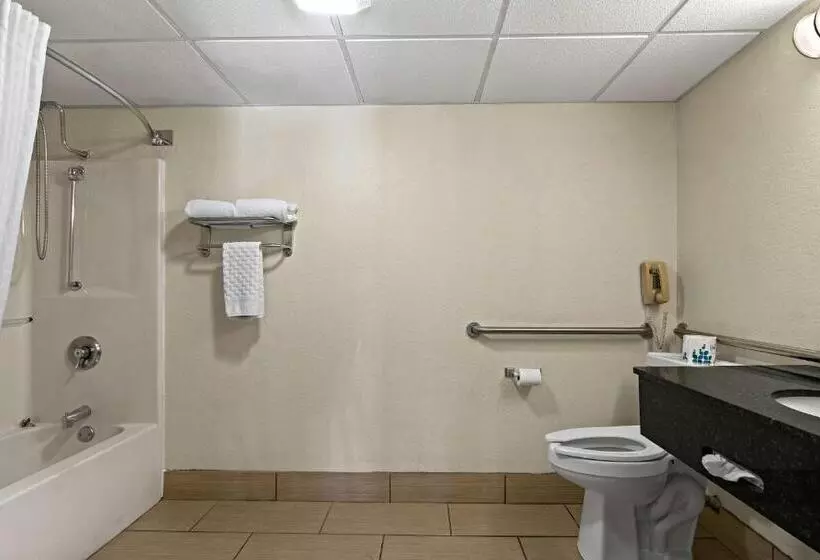 اتاق استاندارد با تخت بزرگ برای معلولان, Best Western Windsor Suites