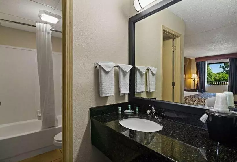 اتاق لوکس, Best Western Windsor Suites