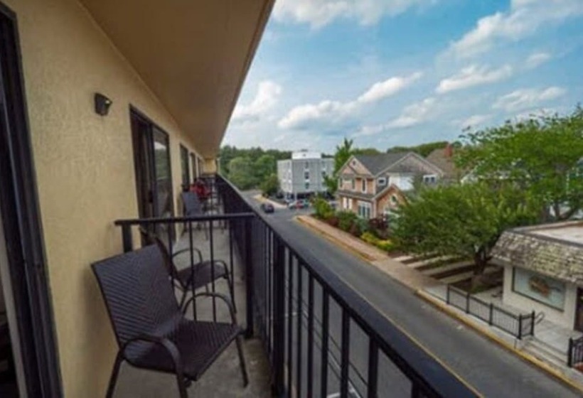 스위트, The Breakers Hotel & Suites