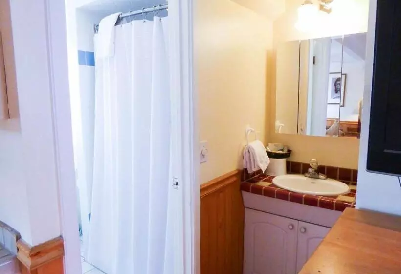 اتاق استاندارد با تخت بزرگ, Briarwood Inn