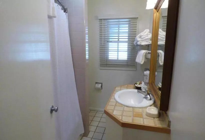 اتاق لوکس با تخت بزرگ, Briarwood Inn