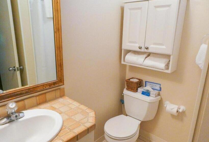 Номер Стандарт, Briarwood Inn