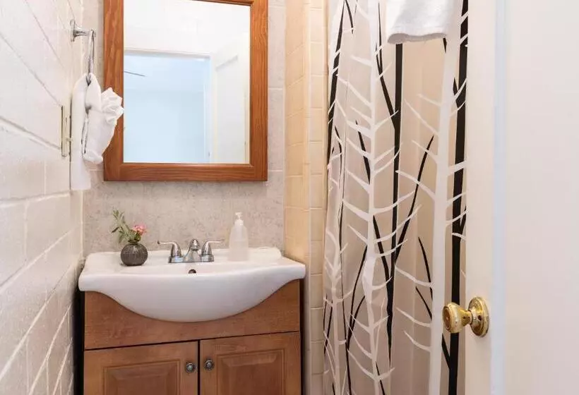 اتاق استاندارد با تخت بزرگ, Buckeye Tree Lodge