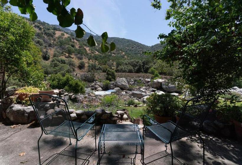 غرفة قياسية سرير كينج, Buckeye Tree Lodge