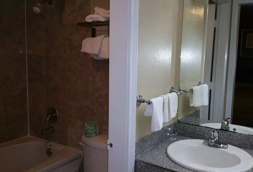 スタンダードルーム, Executive Inn And Suites Waxahachie