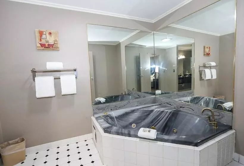 سوئیت 2 خوابه, Red Roof Inn & Suites Lexington   Hamburg