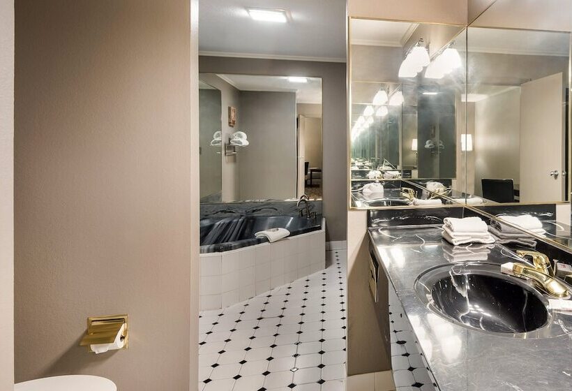 带2个卧室的套房, Red Roof Inn & Suites Lexington   Hamburg