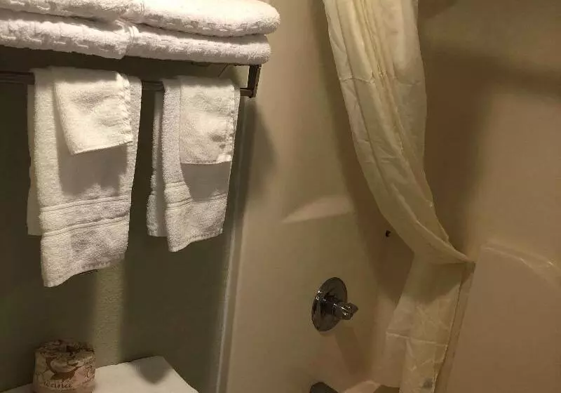 キングサイズベッドのスタンダードルーム, Surestay Plus Hotel By Best Western Poteau