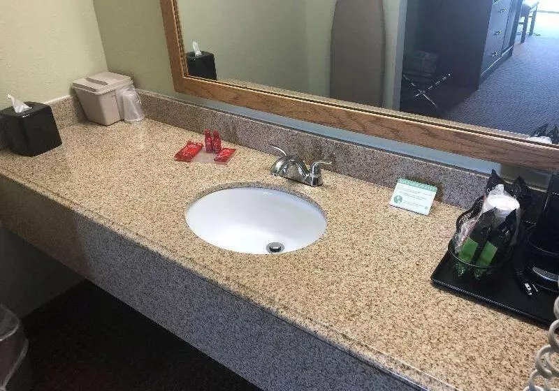 キングサイズベッドのスイートルーム, Surestay Plus Hotel By Best Western Poteau