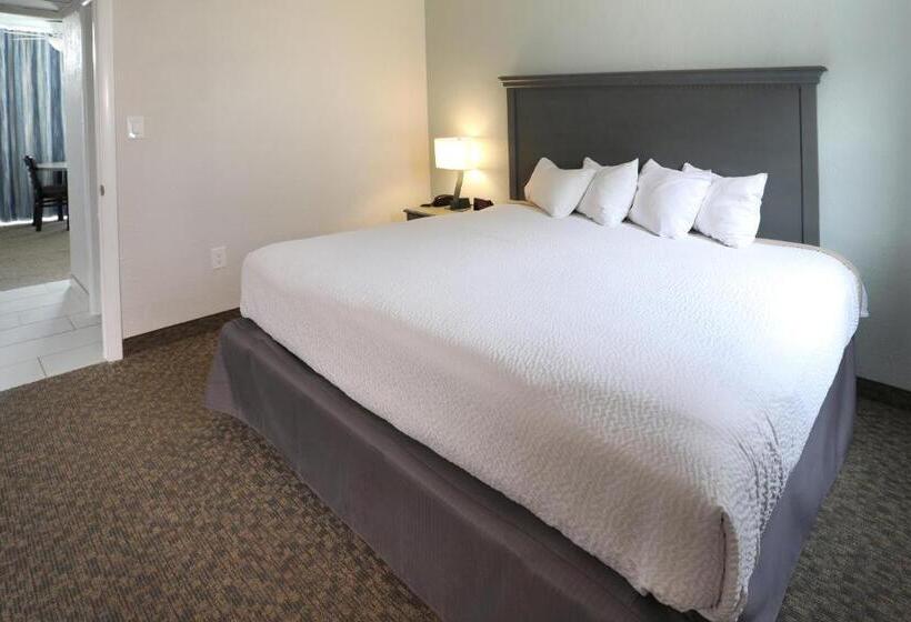 سوییت با چشم‌انداز استخر, Biscayne Family Resort