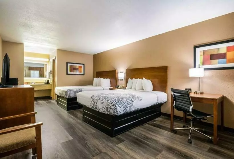 スタンダードルーム, Surestay Plus Hotel By Best Western Poteau